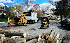 Best Hazardous Tree Removal  in Elmendorf, TX